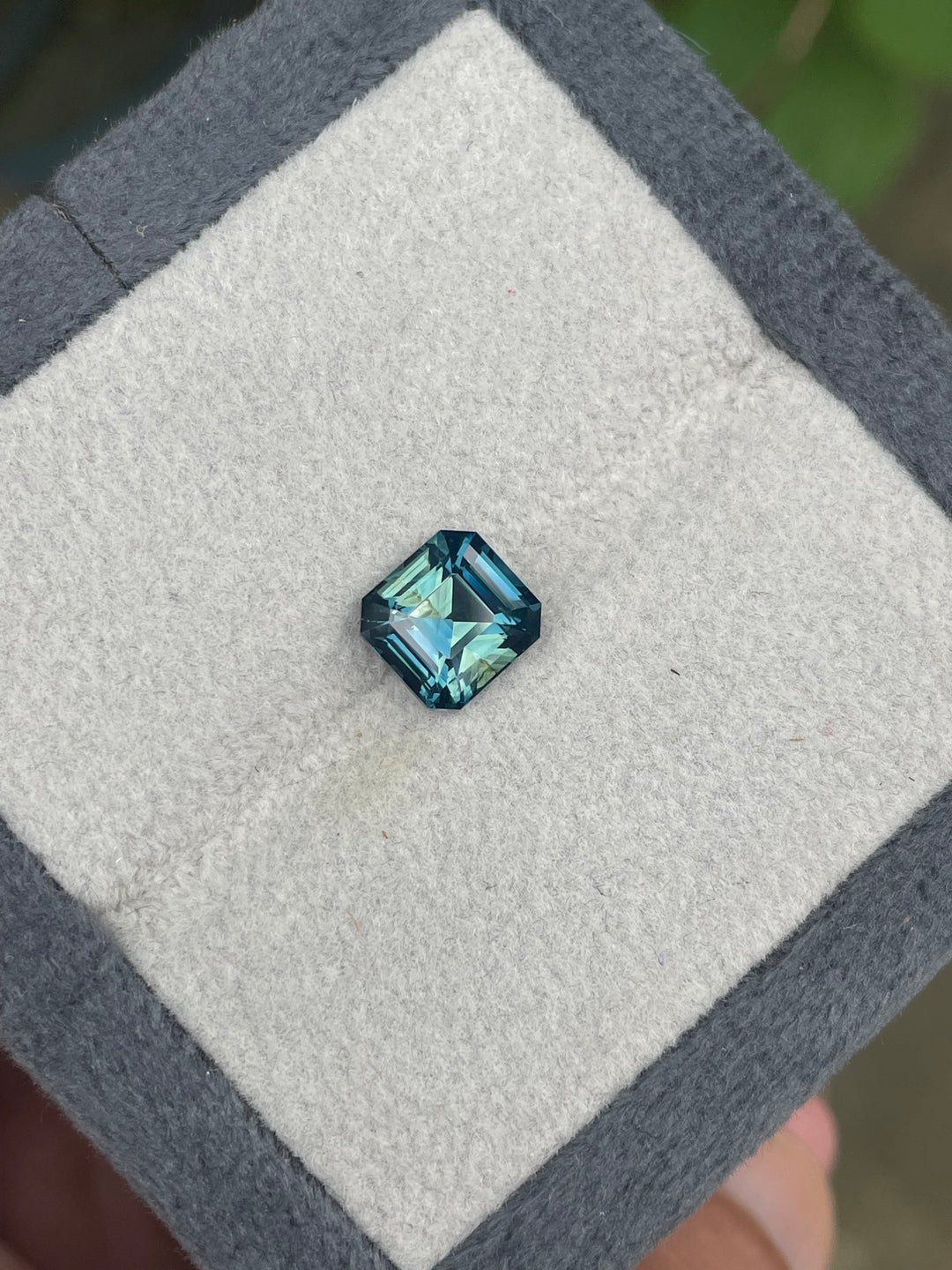 2C855B23-F262-475E-9CF5-A7128FAFD015 - CRYSTAL GEM