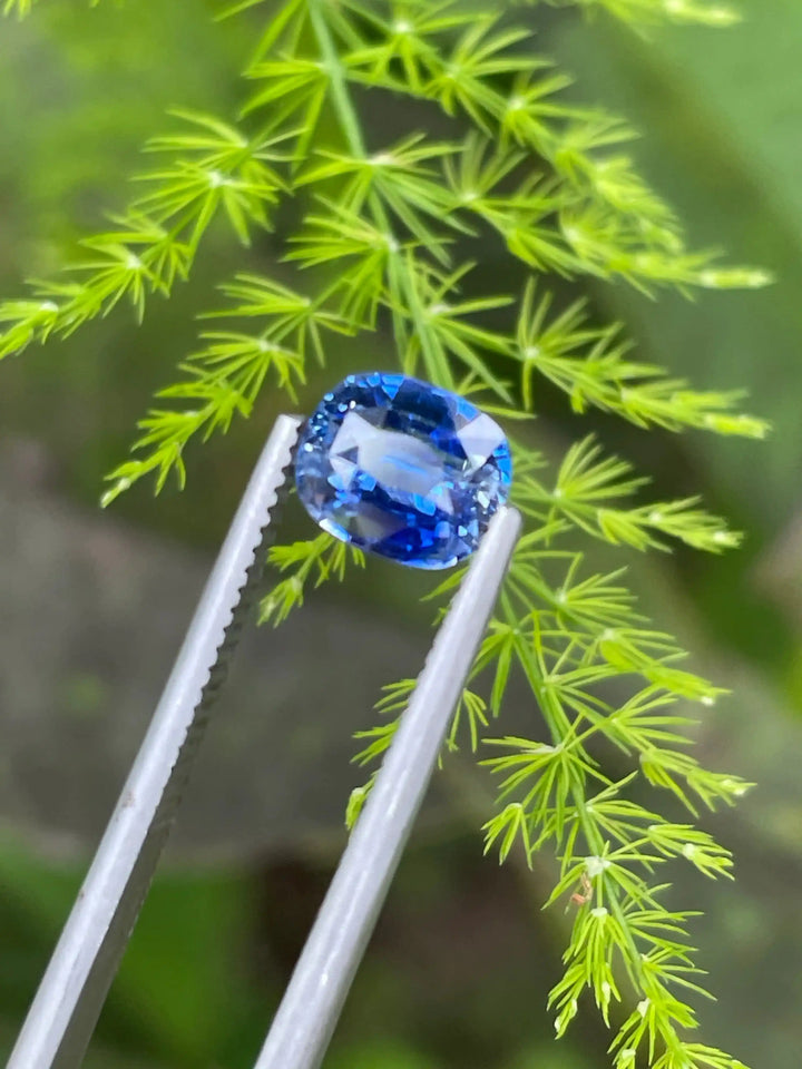 Blue Sapphire  1.5 CT  