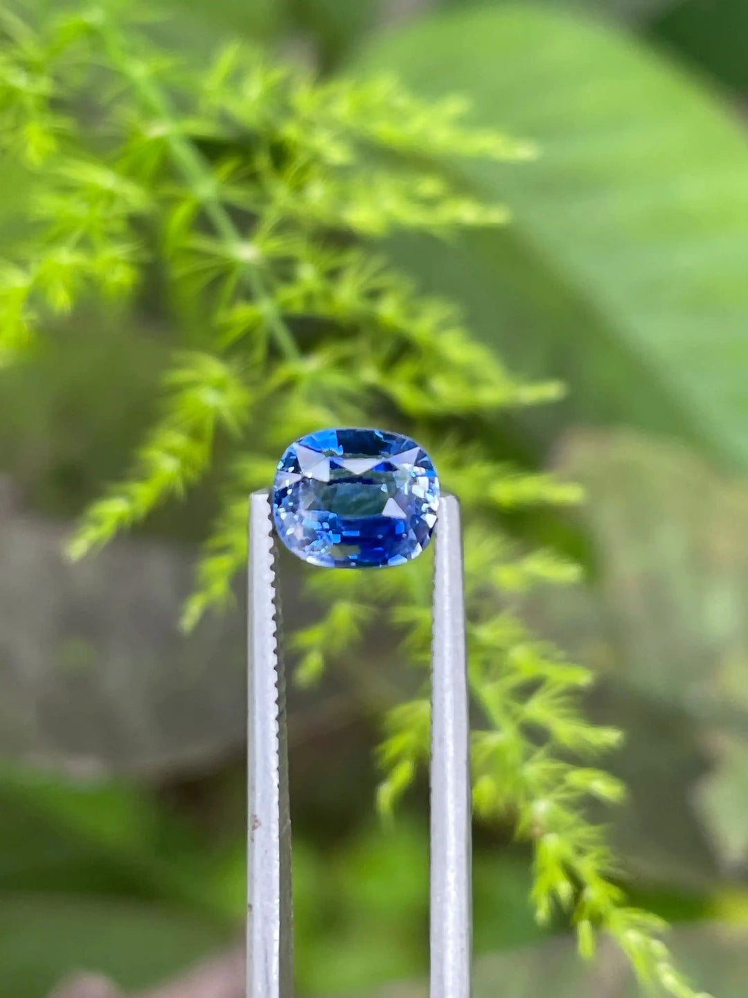 Blue Sapphire  1.5 CT  
