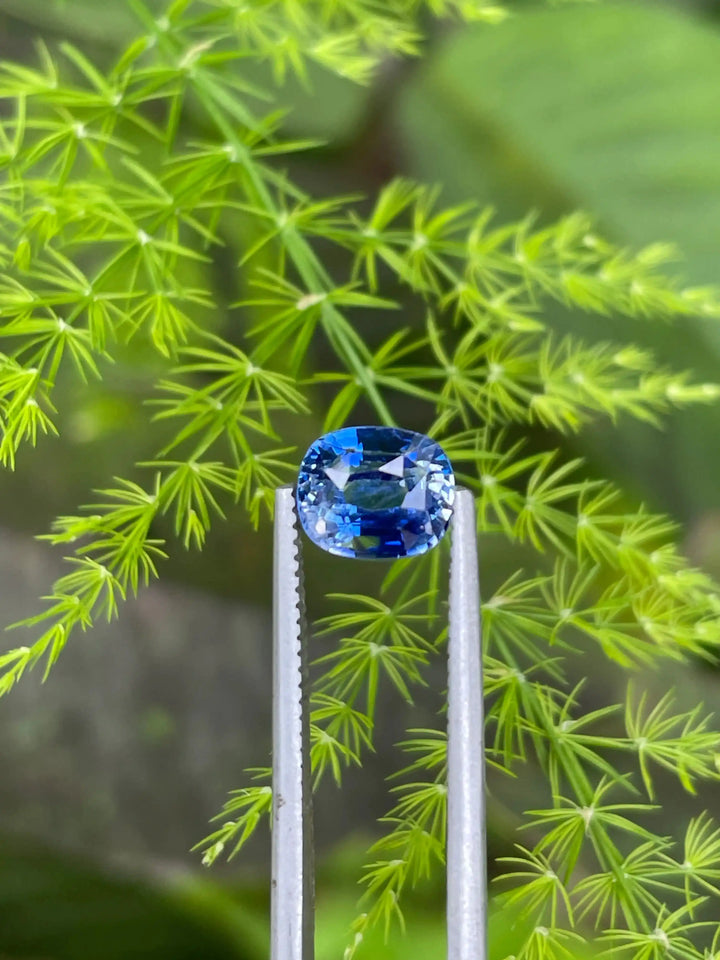 Blue Sapphire  1.5 CT  