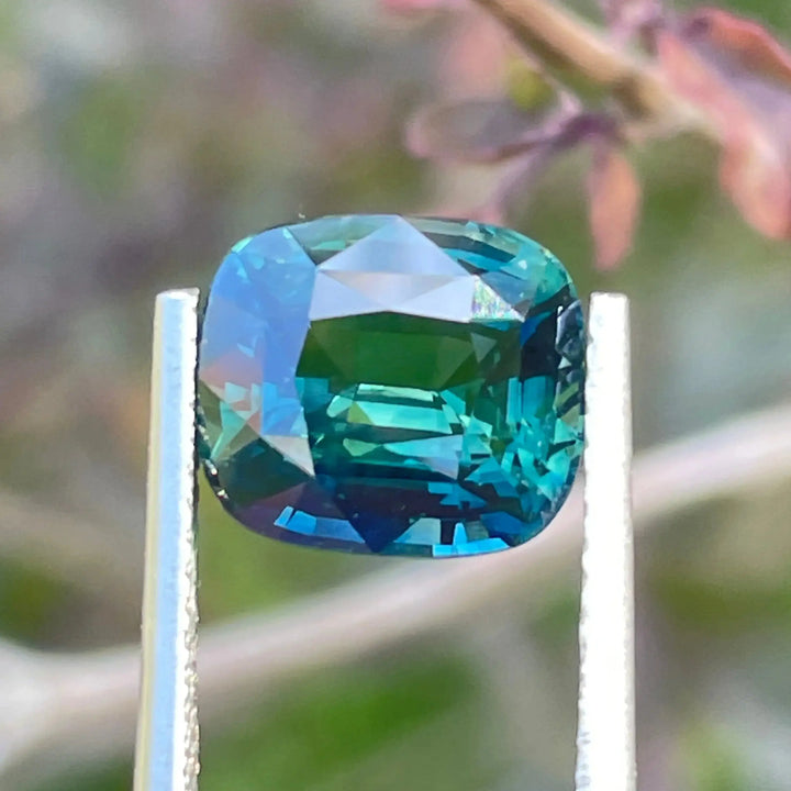 IMG_7354 - CRYSTAL GEM