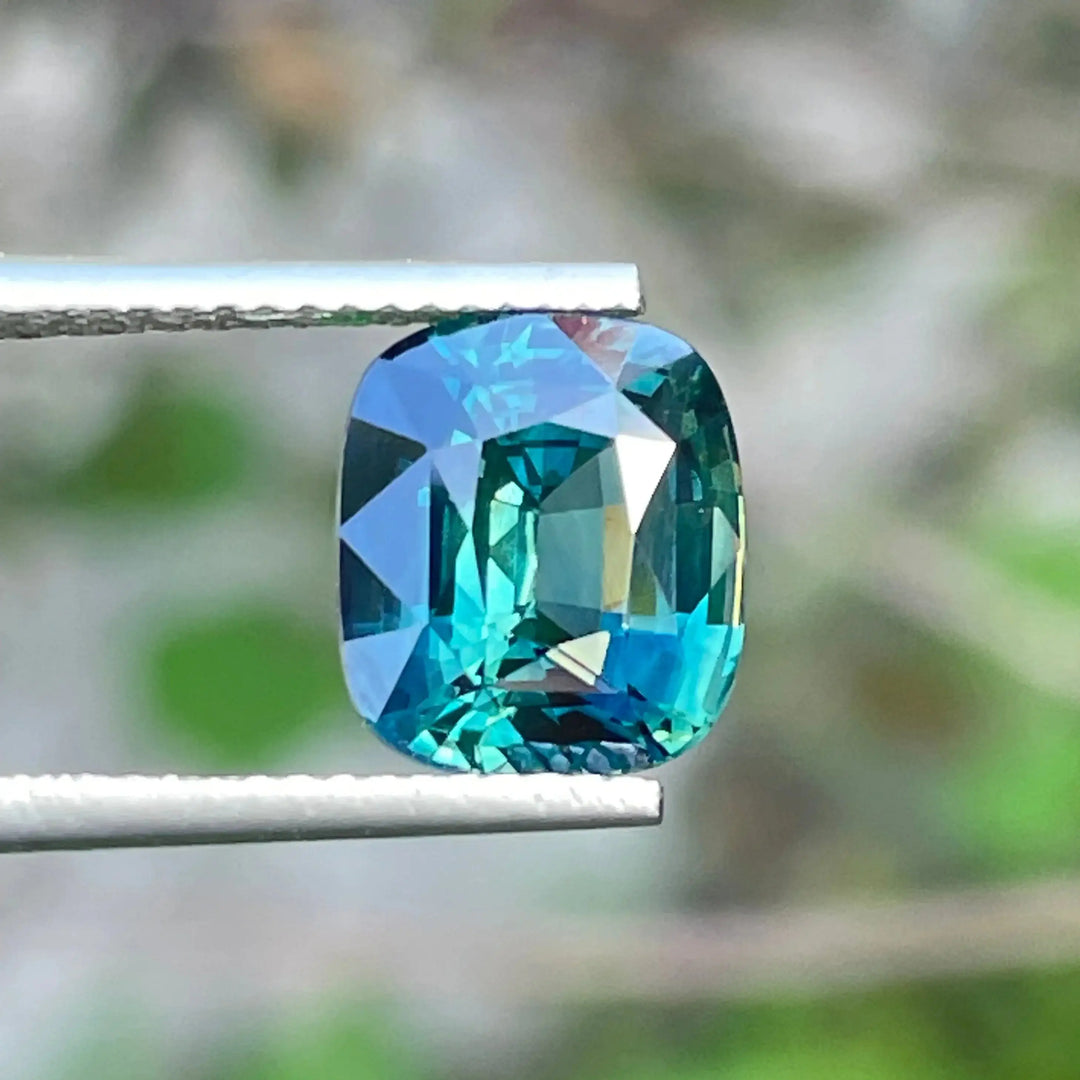 IMG_7355 - CRYSTAL GEM