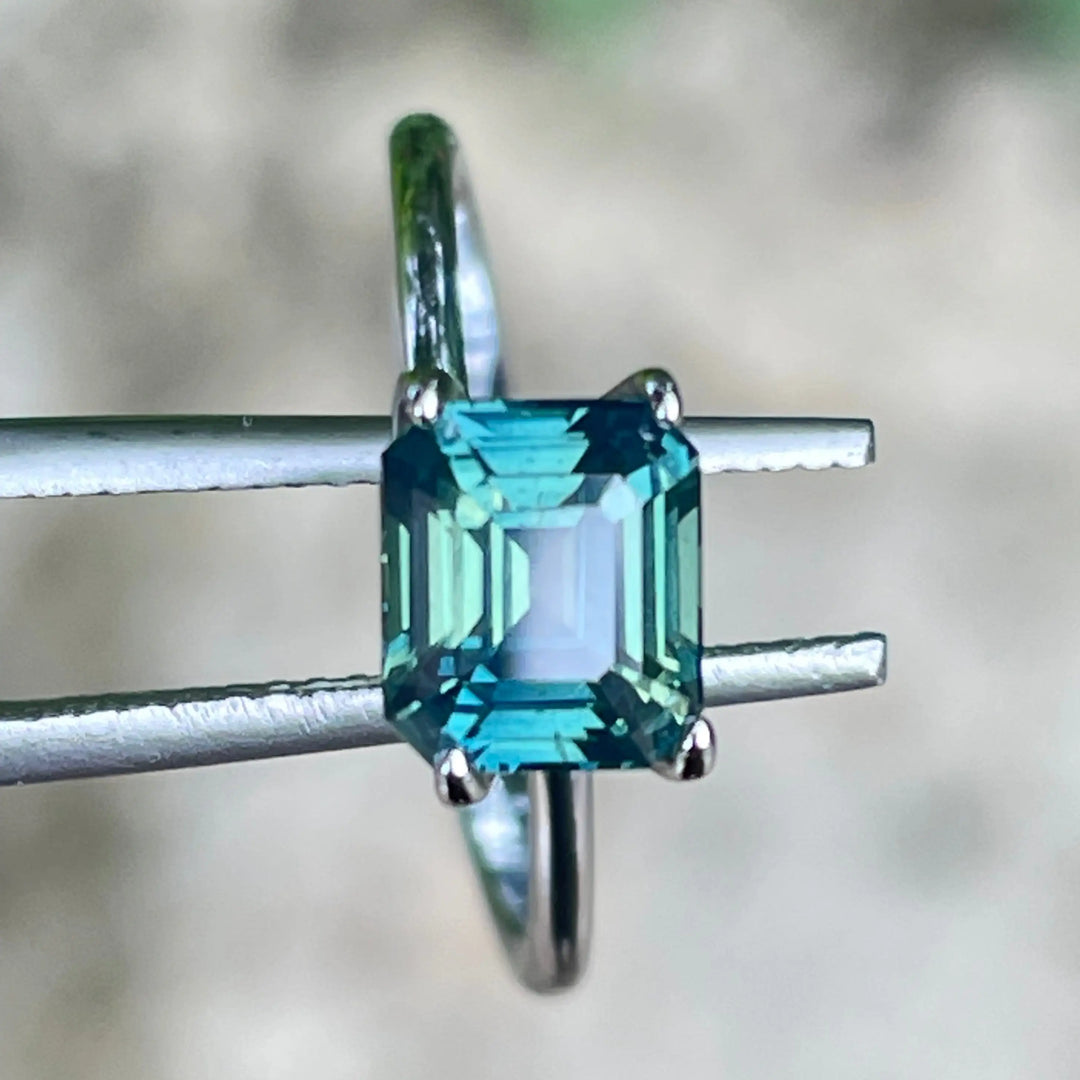 IMG_7871 - CRYSTAL GEM