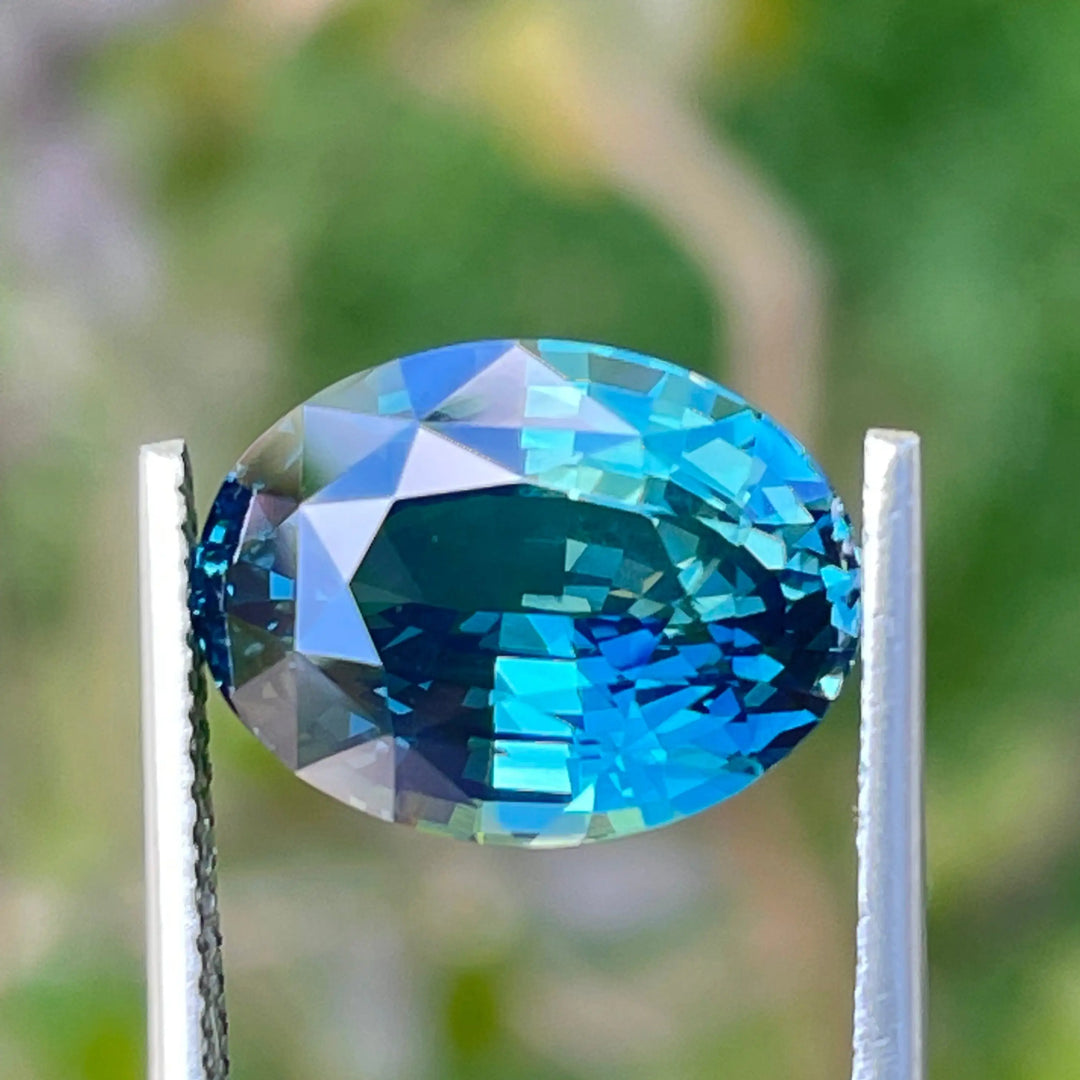 IMG_7943 - CRYSTAL GEM