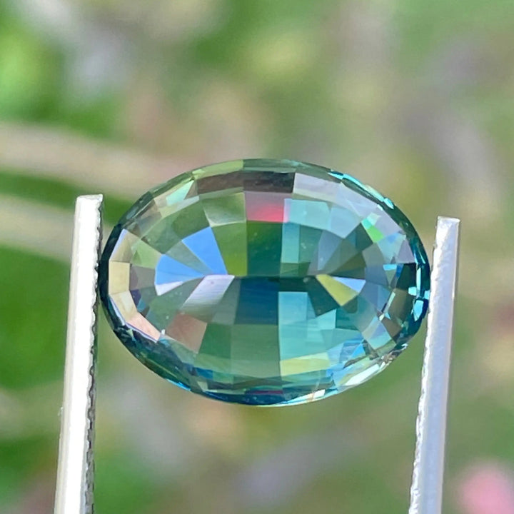 IMG_7947 - CRYSTAL GEM