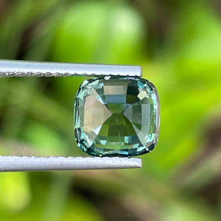 IMG_9330 - CRYSTAL GEM
