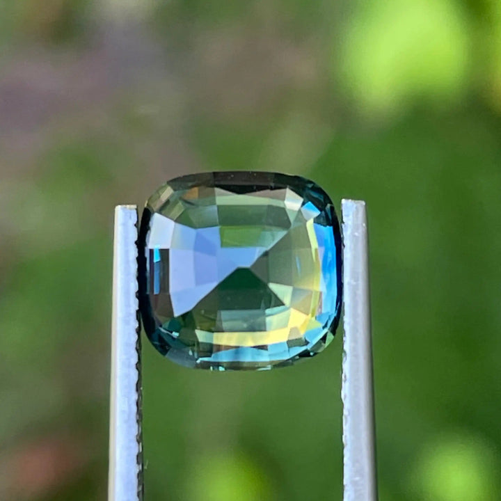 IMG_9354 - CRYSTAL GEM
