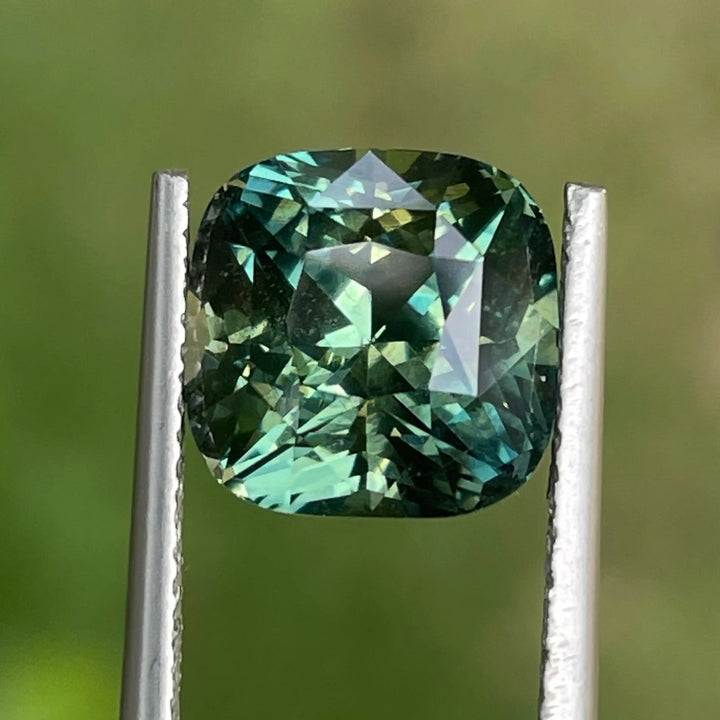 IMG_9589 - CRYSTAL GEM