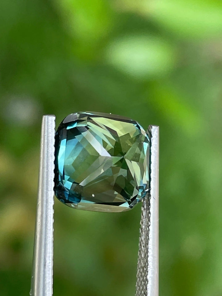 IMG_9592 - CRYSTAL GEM