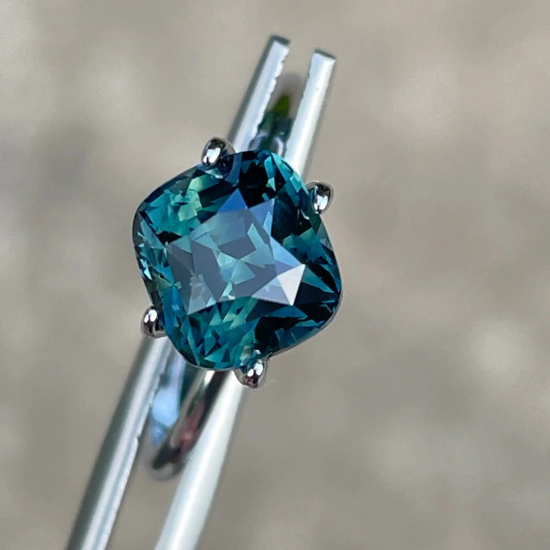 IMG_E7775 - CRYSTAL GEM