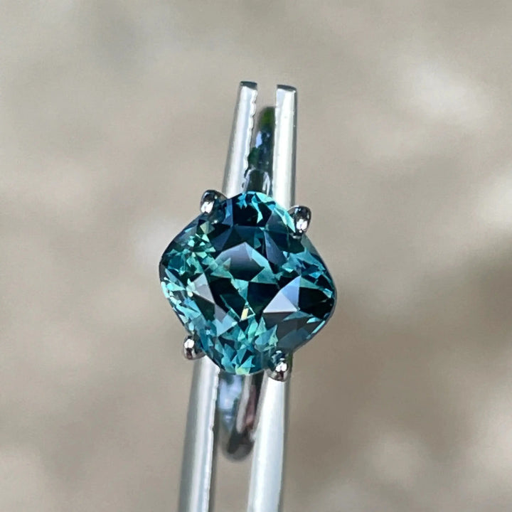 IMG_E7776 - CRYSTAL GEM