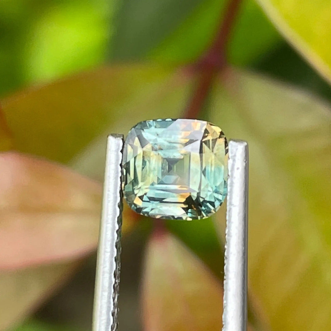 PARTI SAPPHIRE 1.25 CT  GEMSTONES