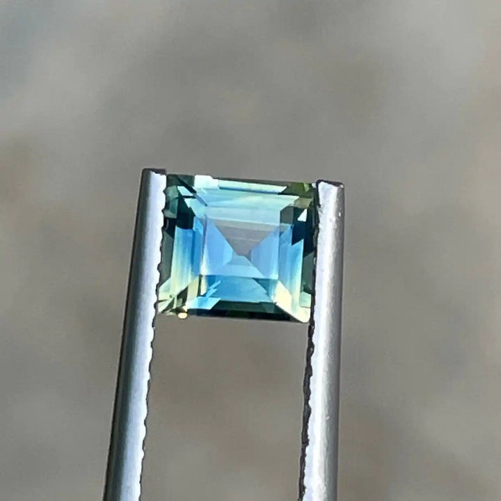 Parti Sapphire  1.10 Ct  GEMSTONES