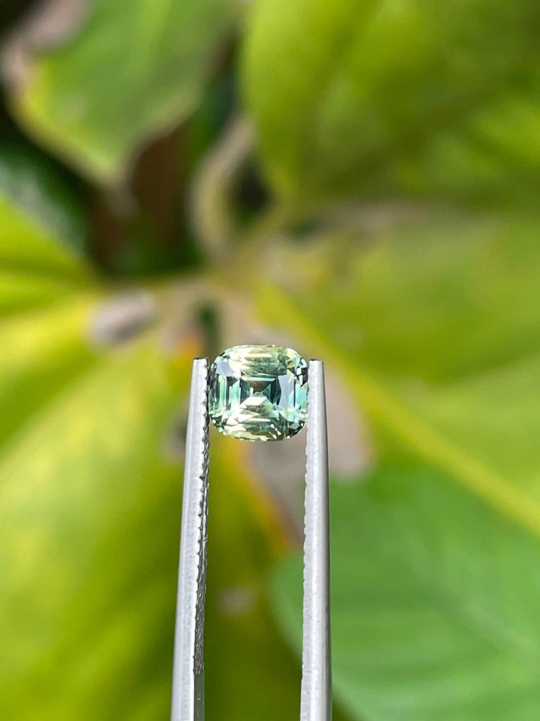 Parti Sapphire   1.39 CT  