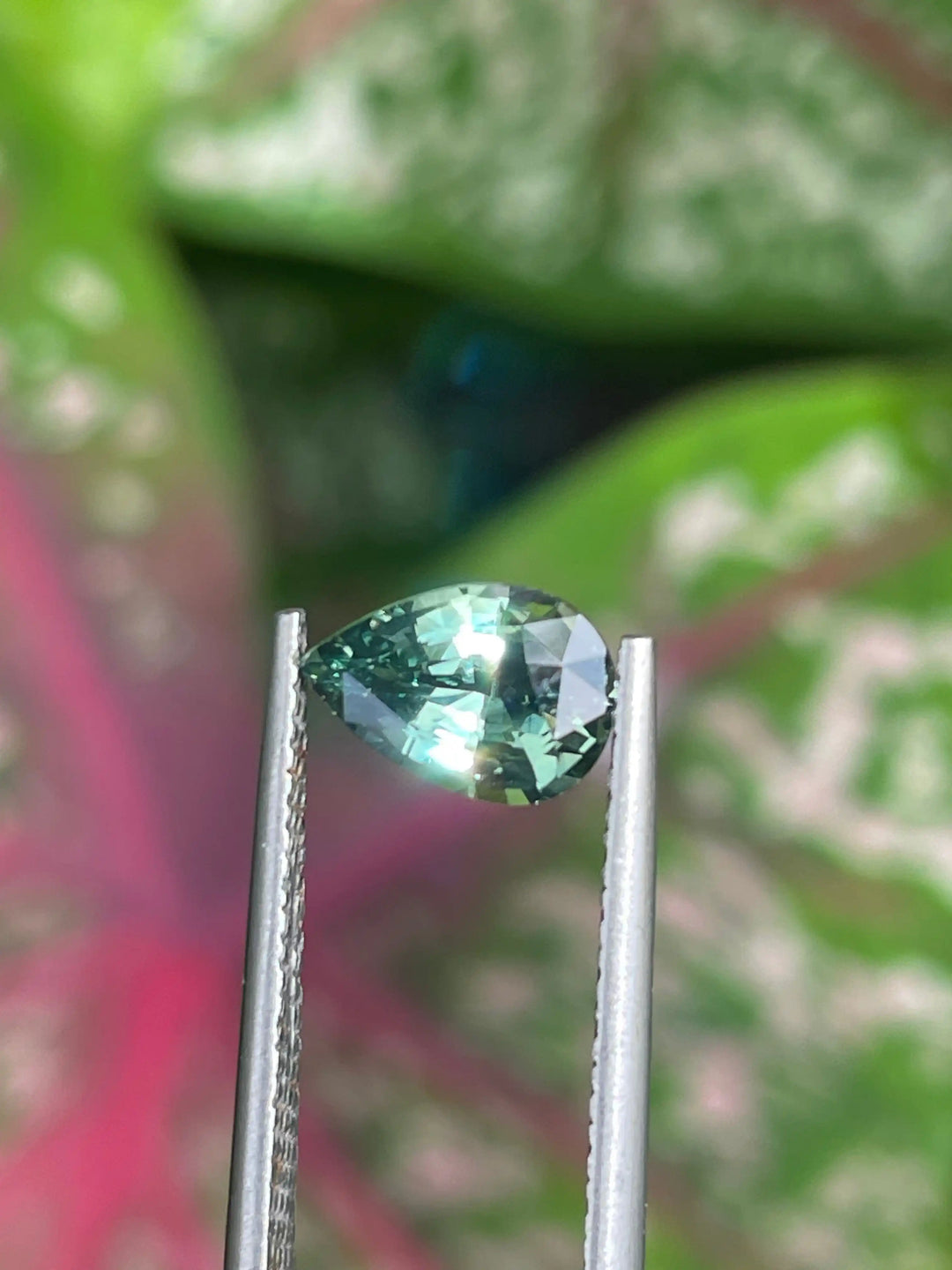 Parti Sapphire  1.50 CT  