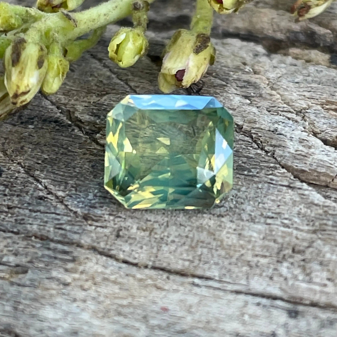 Yellow Sapphire   1.55 Ct  GEMSTONES