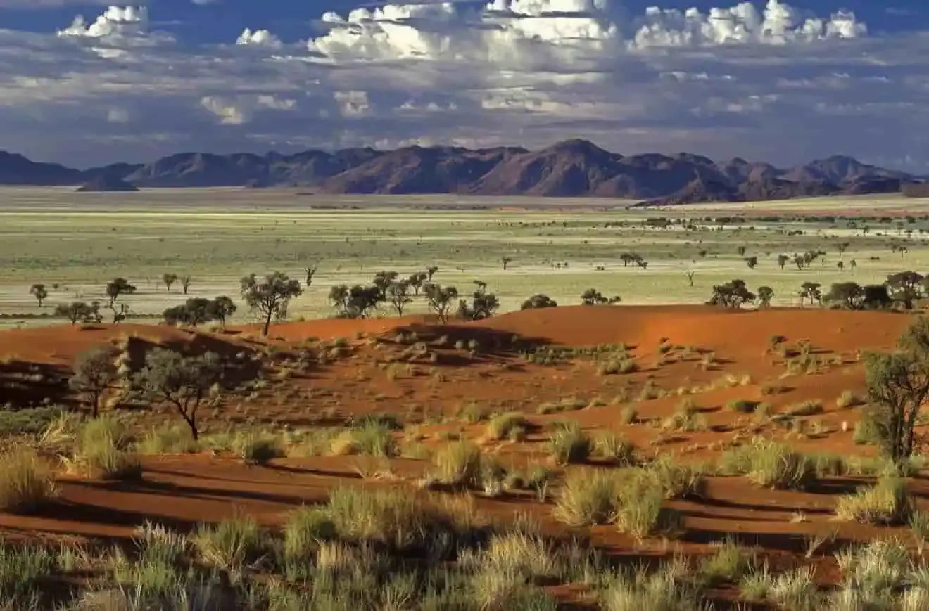 Panoramic view of a vast Madagascar landscape featuring arid red earth, sparse green vegetation, and rugged purple mountains under a blue sky