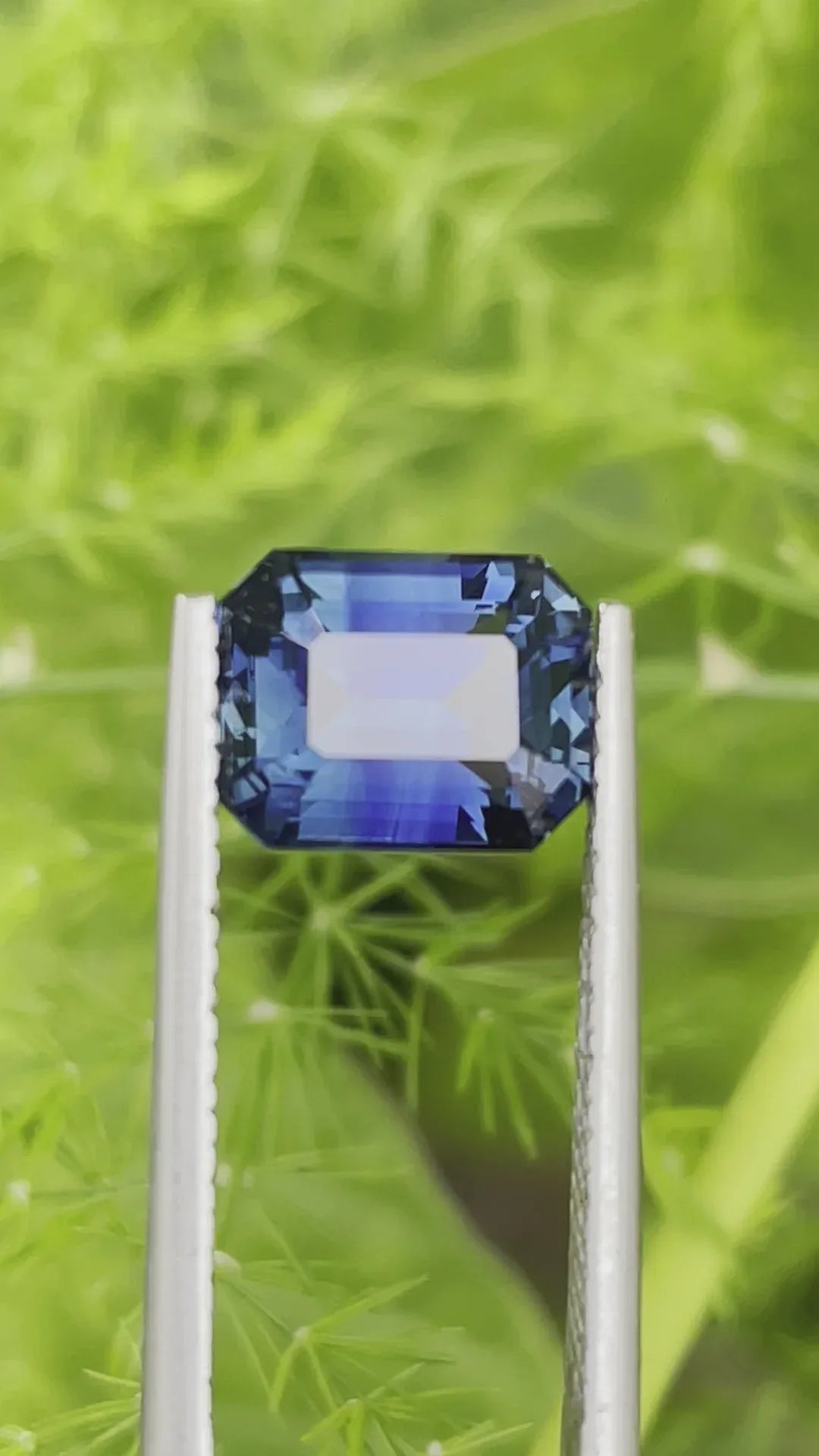 Blue Sapphire (Greenish) 3.52 CT - CRYSTAL GEM