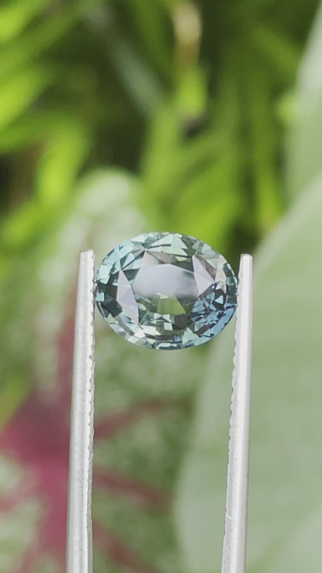 Teal Sapphire 3.51 CT