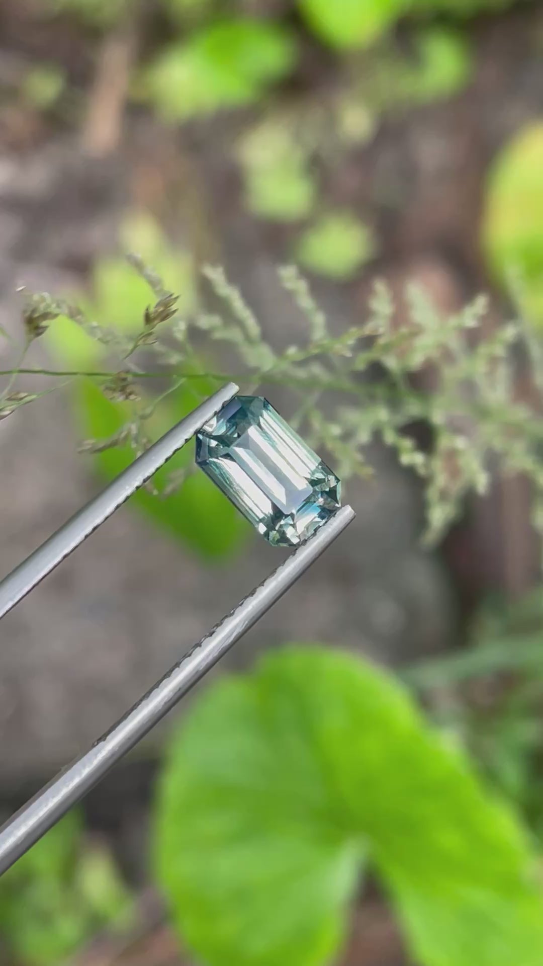 PARTI SAPPHIRE • 2.01CT