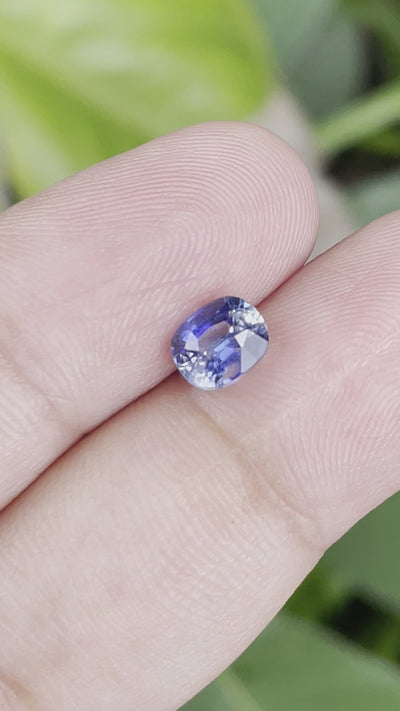 Blue Sapphire  1.5 CT