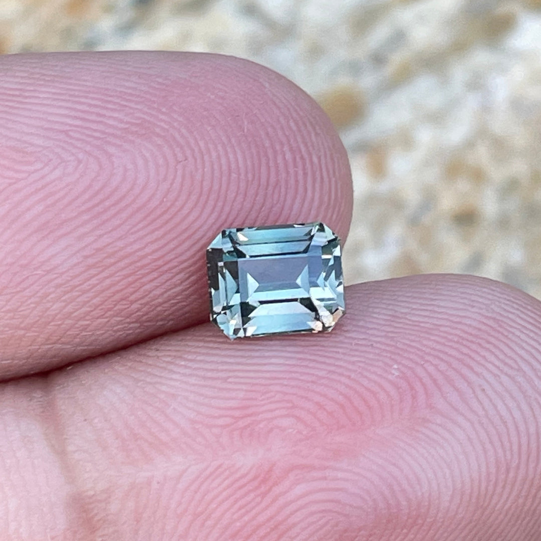 IMG_4469 - CRYSTAL GEM