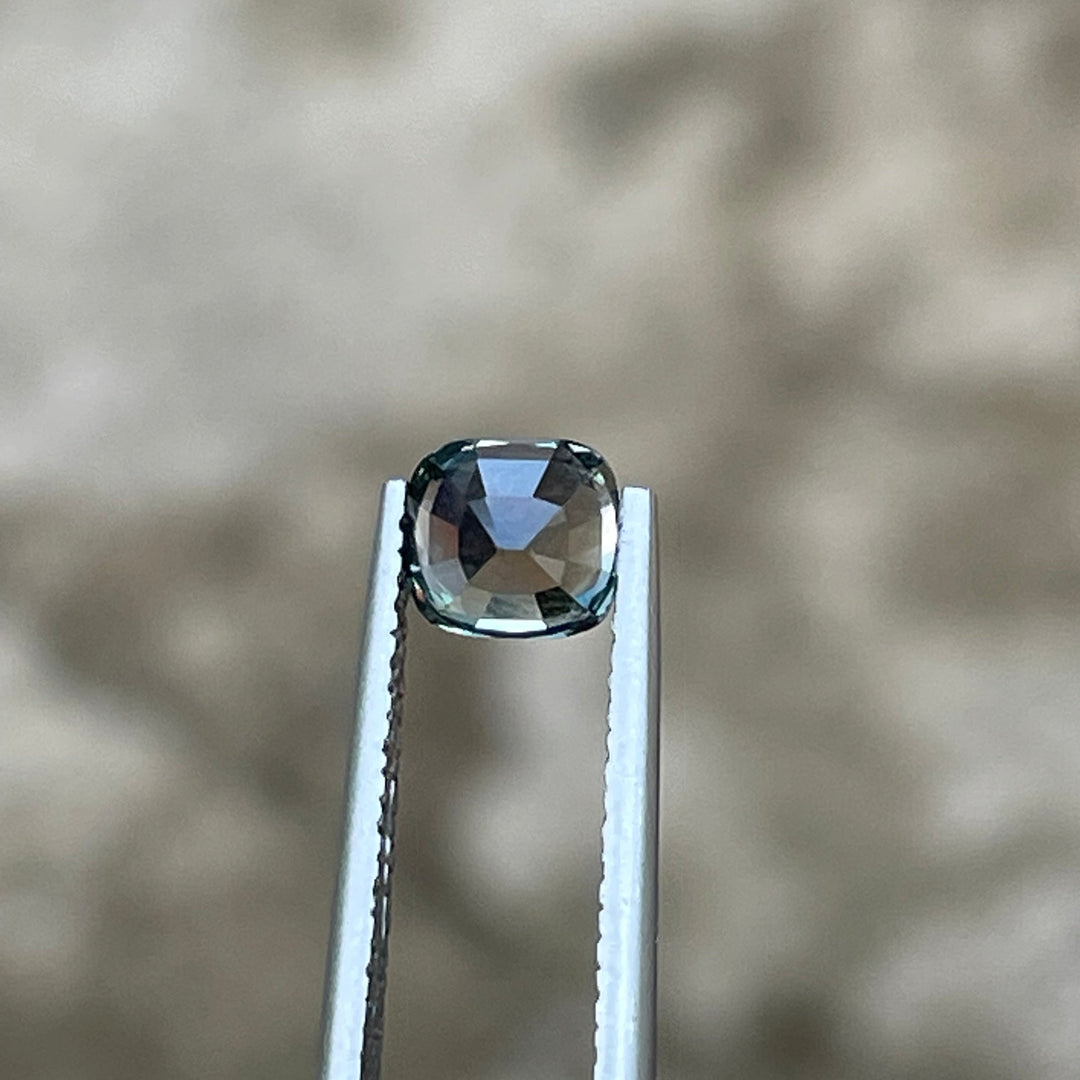 IMG_4473 - CRYSTAL GEM