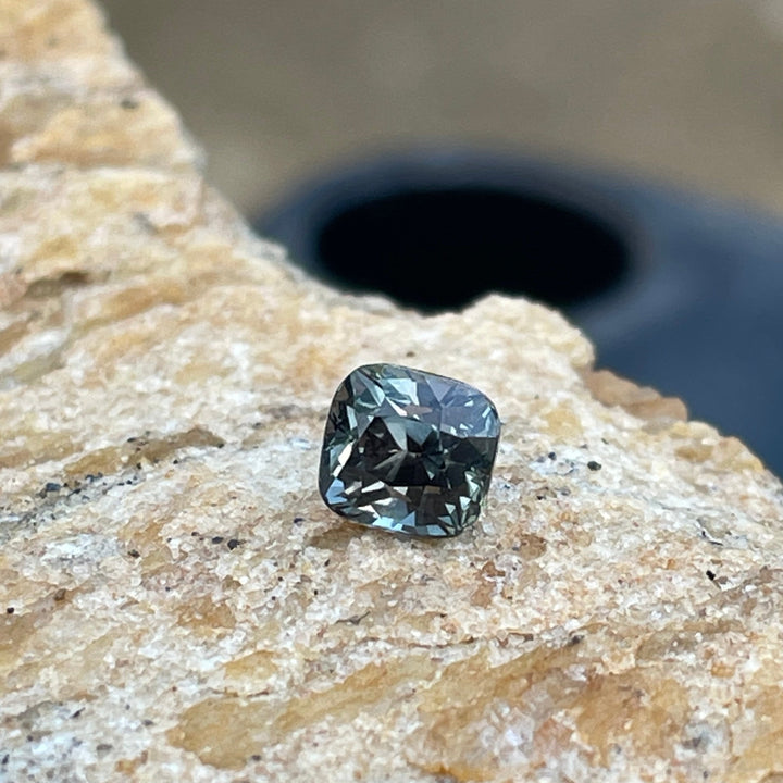 IMG_4475 - CRYSTAL GEM