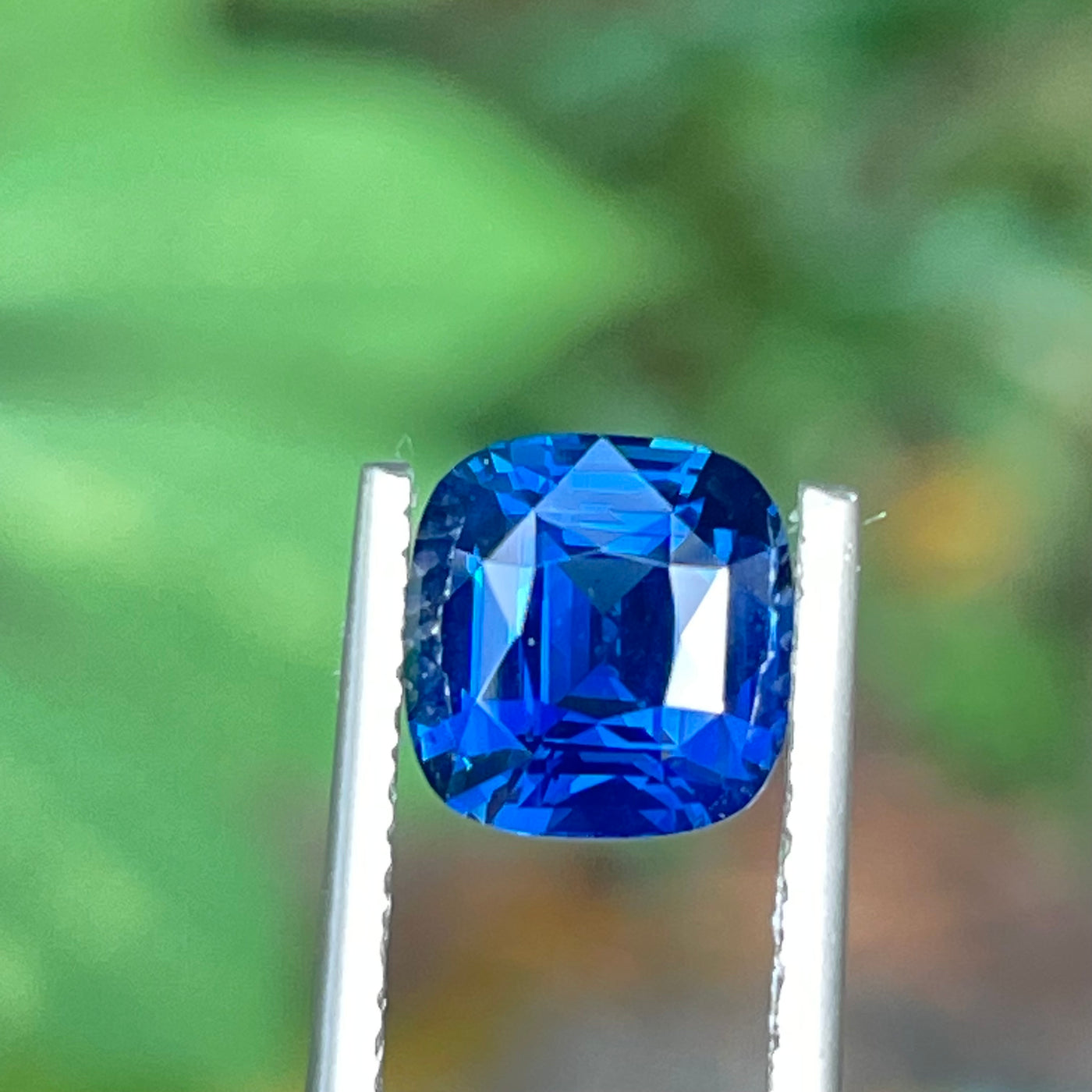 Blue Sapphire 2.53 Ct