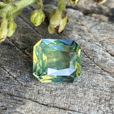 Yellow Sapphire   1.55 Ct