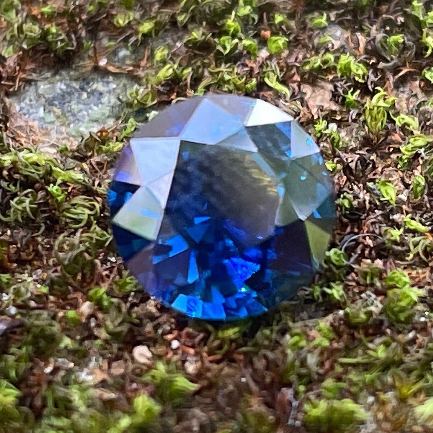 Blue Sapphire 2.66 Ct