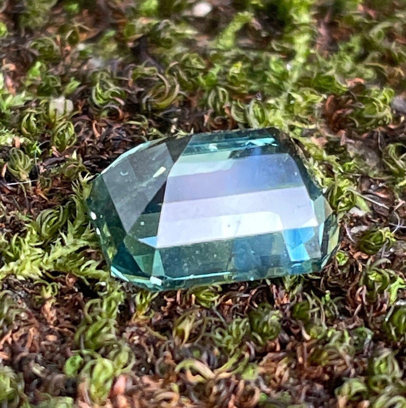 BiColor Sapphire 3.09 Ct