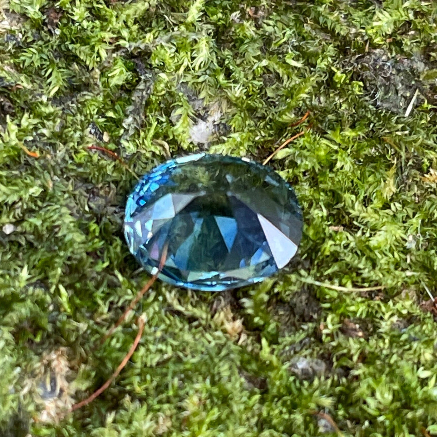 Bi COLOr Sapphire  1.60 Ct