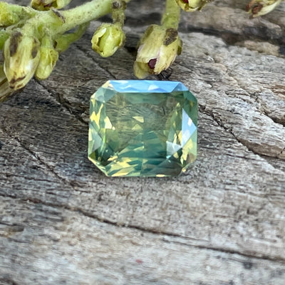 Yellow Sapphire   1.55 Ct