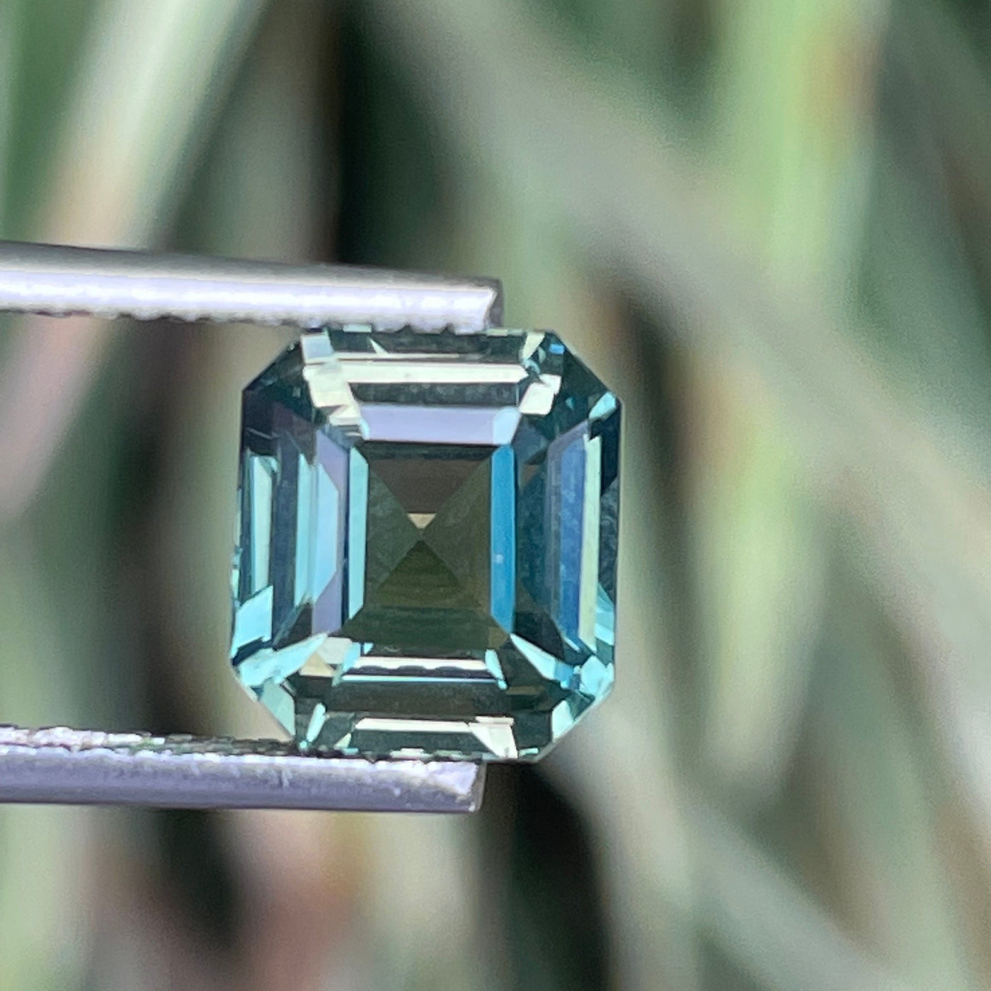 BICOLOR SAPPHIRE 3.0 CT